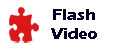 Advertise Your Business With Flash Videos